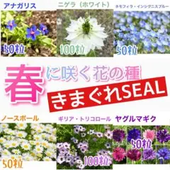 choco様 リクエスト 2点 まとめ商品