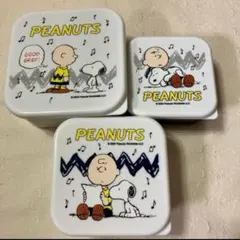 PEANUTS弁当箱3個セット スヌーピー 新学期