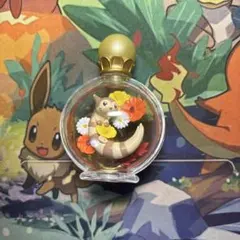 ポケモン プチフルール4 ハーバリウム風　フィギュア オオタチ