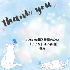 ちゃむ@購入意思のない「いいね」は不要様 リクエスト 2点 まとめ商品