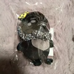 公式新品 2PM ジュノSTUNNIG USペンペン ストラップキーホルダー