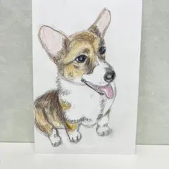 色鉛筆画(13.5×19cm)「んばぁ〜♪」犬・コーギー♡ 色鉛筆画(13.5×19cm)「んばぁ〜♪」犬・コーギー♡ - メルカリ