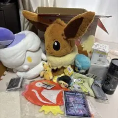 ピカピカボックス2026コイキングメス