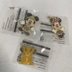 ミッキー　ミニー　シンバ　チャームセット　ディズニーランド　ジャングルカーニバル