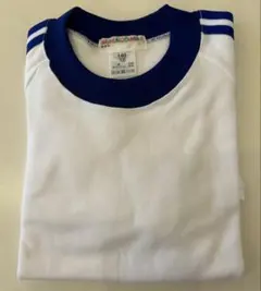 Item thumbnail for item 22dac09a-db1d-481a-bba3-885c45f94ce3