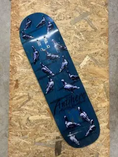 Antihero 8.55 Austin Kanfoush スケートボードデッキ