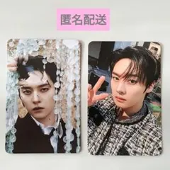 Stray Kids スキズ do it Platform リノ トレカ 2枚