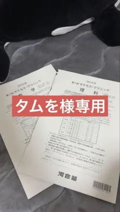 2026年最新】河合塾 サクセスクリニックの人気アイテム - メルカリ