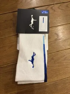 最終インザペイントバスケットボールソックス ITP24491 25~28cm