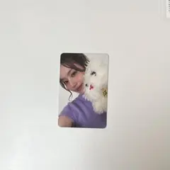 strategy twice サナ トレカ