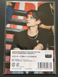 Be The Sun エキシビジョン ポストカード ジョシュア
