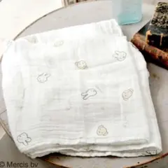 ベビーザらス限定 ミッフィー スワドル 月柄