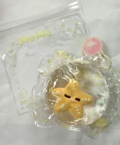 Momoスクイーズ 海洋シリーズ 第2弾 ヒトデ