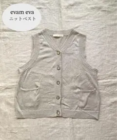 2025年最新】evam eva ニットベストの人気アイテム - メルカリ