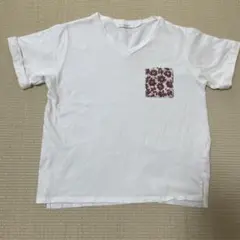 Item thumbnail for item 6265af3c-2fb7-43c8-9e65-b9065f129e87