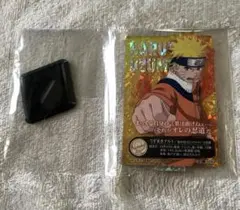 Item thumbnail for item 9130d8c5-eb0d-4c93-8f13-3c9148239b07