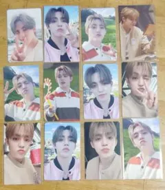 SEVENTEEN エスクプス STF 消費期限 会場限定 トレカ 12枚