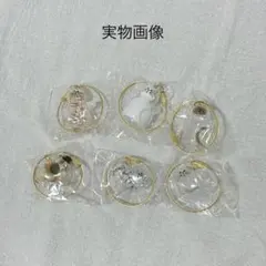 6個セット けだまだま 猫 キーホルダー 猫の毛入れ コンプリート メモリアル
