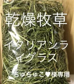 Item thumbnail for item c0e4bd91-0801-4250-8bc6-c78de7da16c4