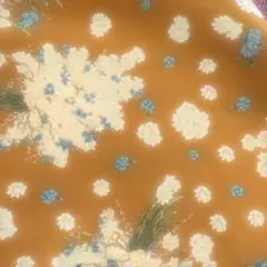 Item thumbnail for item fc343d15-829d-497d-b676-ea55cbf33924