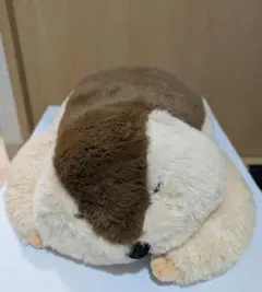 Dｒ.マーモット まもちおもプクのぺたーん＆マモ相撲 L ぬいぐるみ　まもち