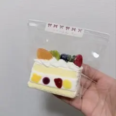 ラドド　フルーツサンド　スクイーズ　ladodo フルーツケーキ