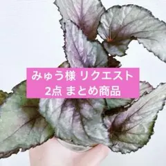 みゅう様 リクエスト 2点 まとめ商品