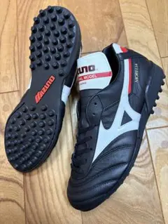 ミズノモレリア