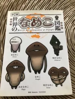 Item thumbnail for item 05611922-9ef5-46a8-8959-7bb091162816