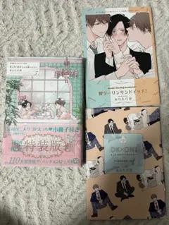 BL漫画 特装版 小冊子付き まとめ売り