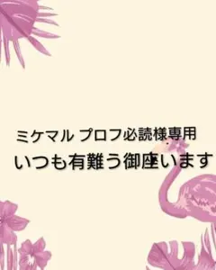 おおきいサイズ