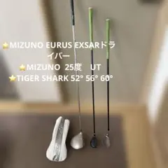 Item thumbnail for item bb06e40a-7195-4159-ac19-f3d48ae7233c