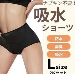 吸水ショーツ Lサイズ 2枚セット　ブラック　シンプル　オシャレ