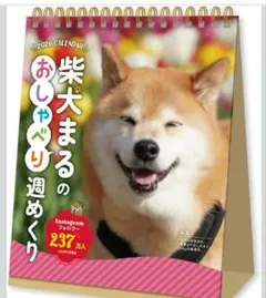 Item thumbnail for item 62c0cf85-576c-409d-a7f6-7ab4fde2f7fb