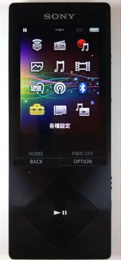 SONY WALKMAN NW-A25（保護ケース・箱付） - メルカリ