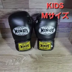 WINDY ウィンディ　ボクシンググローブ 黒　キッズ　M　子供　ブラックのサムネイル