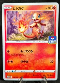 2026年最新】112/SM-P ヒトカゲの人気アイテム - メルカリ