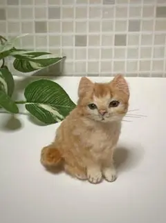 Item thumbnail for item 79412d09-eef4-4d12-9819-70f5704b7140