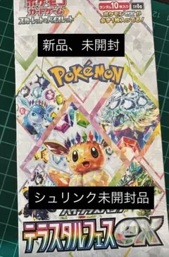 2025年最新】テラスタルフェスex box 未開封の人気アイテム