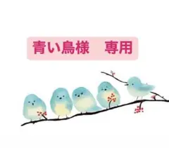 青い鳥様　専用ページ　羊毛フェルト　インコ　オーダー