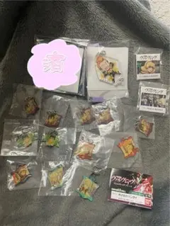 革命機ヴァルヴレイヴ バッジ プレート　アクリルキーホルダー 15点セット 革命機ヴァルヴレイヴ バッジ プレート アクリルキーホルダー 15