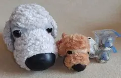 THE DOG プードル セット