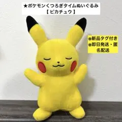 【即日発送・タグ付き】ポケットモンスターくつろぎタイムぬいぐるみ ピカチュウ