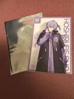 星導ショウ まとめ売り 2025年最新】星導 ショウの人気アイテム - メルカリ