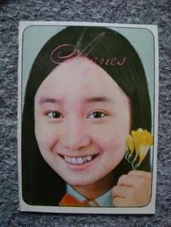 アグネス・チャン　カラーブロマイド　B８サイズ　雑誌付録