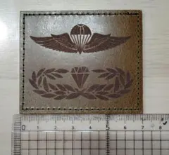 Item thumbnail for item d40ea394-057a-4136-bdee-03e16f7c9846