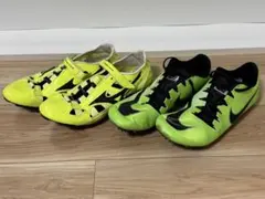 Item thumbnail for item c85fc975-4524-4445-add0-081cf90b839a