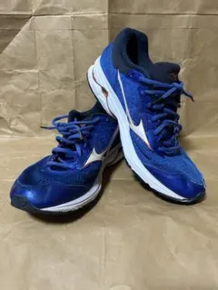 値下げ！Mizuno Wave Rider ２２ランニングシューズ28.5cm