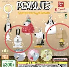 PEANUTS めじるしアクセサリー FUNNY ver. 2個セット