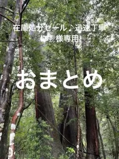エレッセ　テニスショートパンツのサムネイル